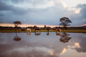 The Watering hole. Fritham, New Forest, England. Category: Nature