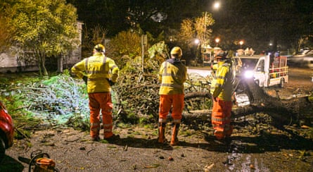 Council workers clear fallen trees from a road in Falmouth, Cornwall