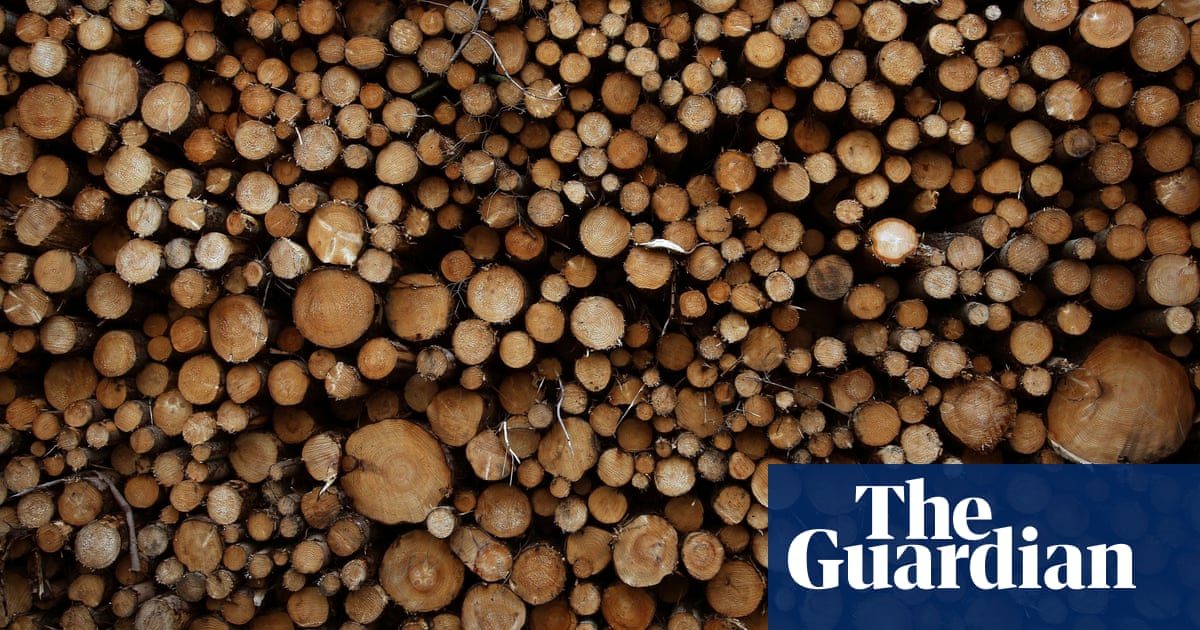 Scrap subsidies to Scotlandâs conifer forests, urges report | Trees and forests