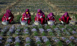 Afghanistan is one of the countries that has discriminatory laws around women’s ability to work or move freely.