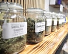 Cannabis Commercialization Linked to Increased Usage and Mental Health Issues, Study Finds