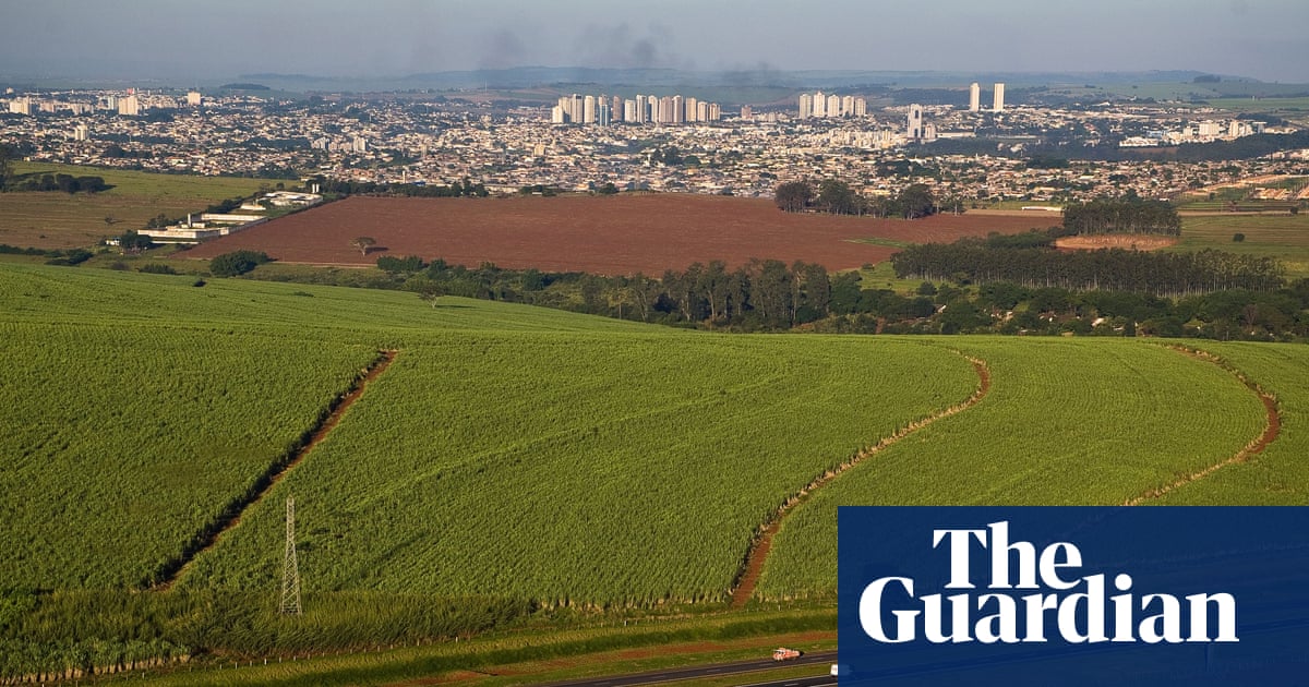Brazil to ask countries at Cop30 to vastly increase biofuel use, leak suggests