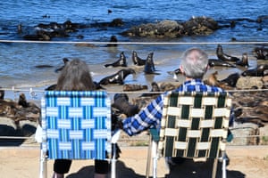 Melhor que a TV: Um casal se senta e aproveita enquanto centenas de leões marinhos invadem a praia de San Carlos, em Monterey, Califórnia.
