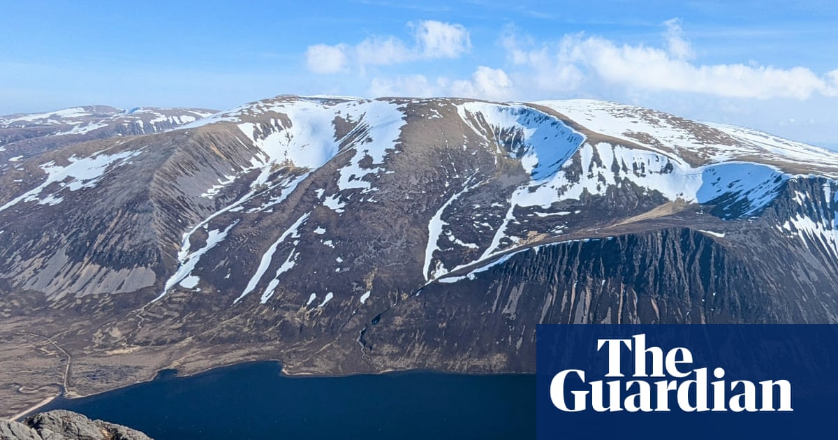 Country diary: Our first sunny day in a month – time to scale a summit | Merryn Glover