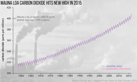 graph shows carbon dioxide levels