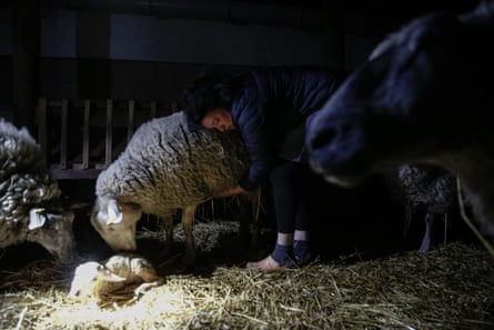 Julie-Lou Dubreuilh takes care of her sheep