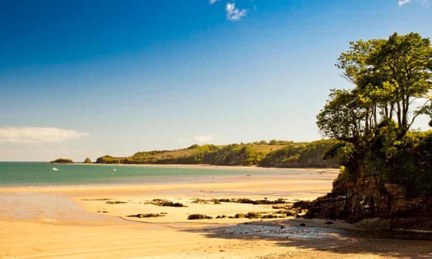 Sand, sea and trees at Coppet Hall beach.