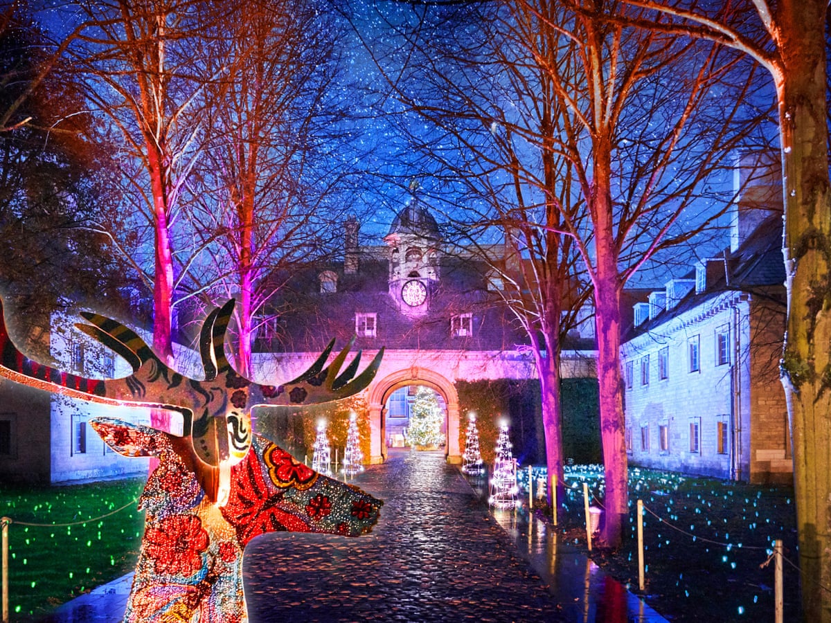 Maand krom klauw Light fantastic: the UK's best Christmas illuminations | Travel | The  Guardian