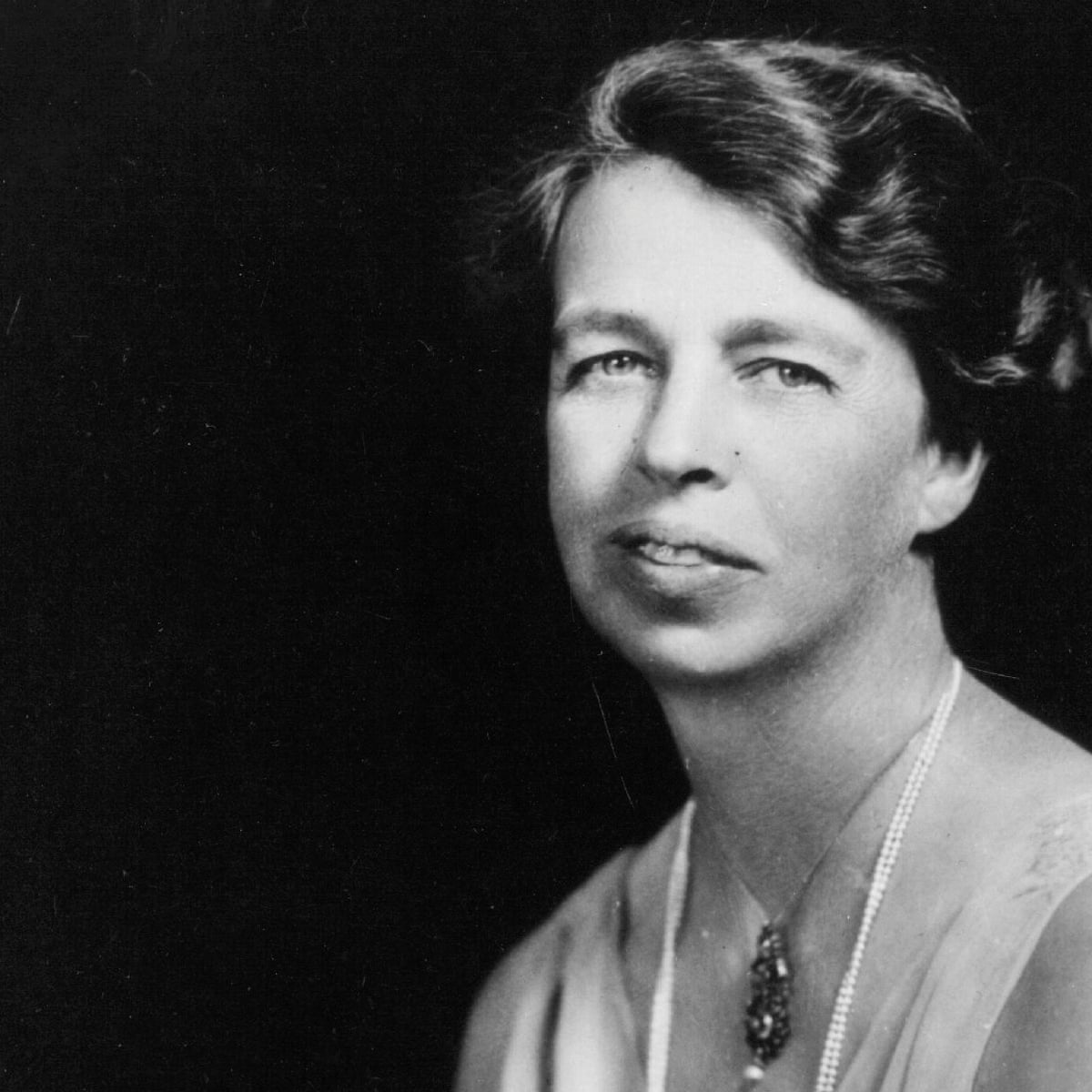 Eleanor review: sensitive and superb biography of a true American giant | Biography books | The Guardian