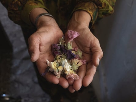 Hands holding out pink and yellow plants