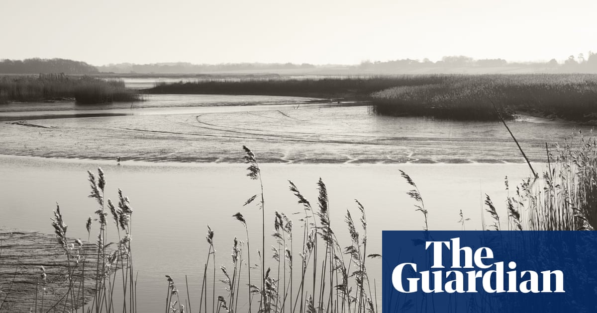 Saltwash by Andrew Michael Hurley review – raw, dark folk horror confronts mortality