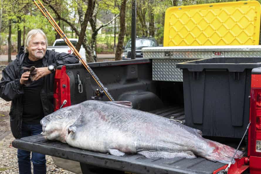 Eugene Cronley of Brandon and the record setting 131-pound (59.4-kilogram) blue catfish he caught, 7 April, 2022.