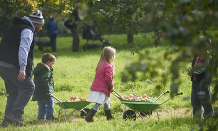 Apple harvesting events welcome the whole family.
