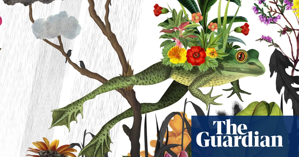 Why climate-change gardening means breaking all the rules - The Guardian