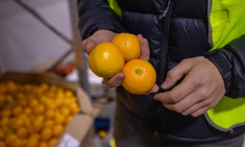 Oranges deemed too small for supermarkets are salvaged by Farmers Pick.