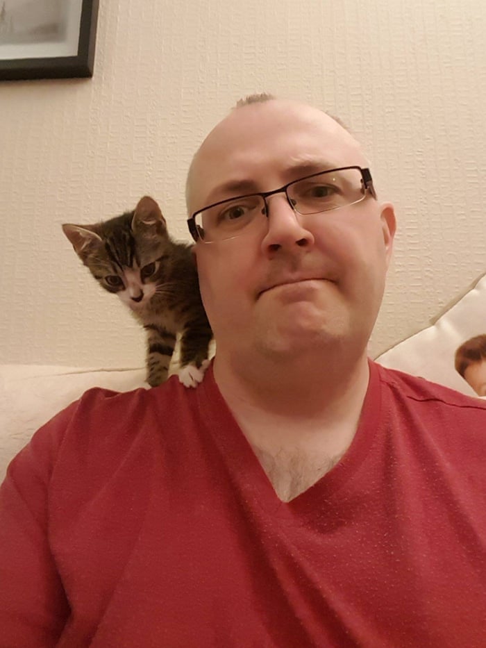 Why Are Kittens So Cute You Asked Google Here S The Answer Dean Burnett Opinion The Guardian