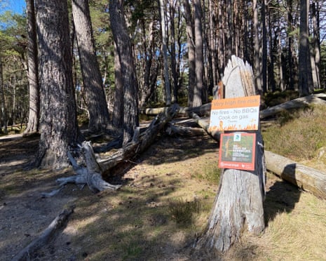 Wildfire warning signs on post in the Cairngorms forest