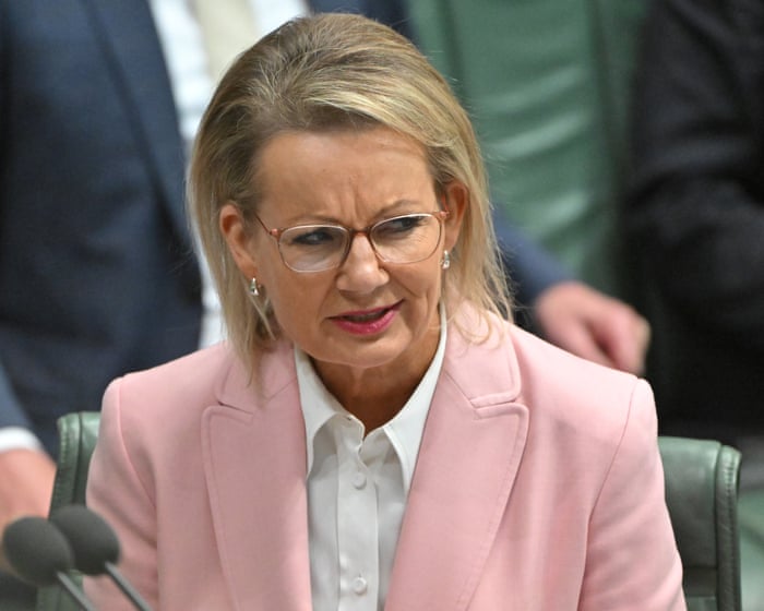 Australia politics live: Ley condemns ‘insensitive’ comments by MPs linking stillbirth bill to late-term abortions