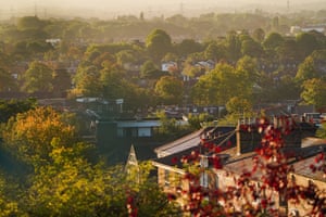 View of trees and houses in a London suburban area in the morning