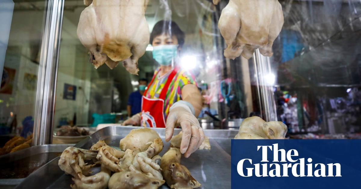 How cannabis-fed chickens may help cut Thai farmers’ antibiotic use