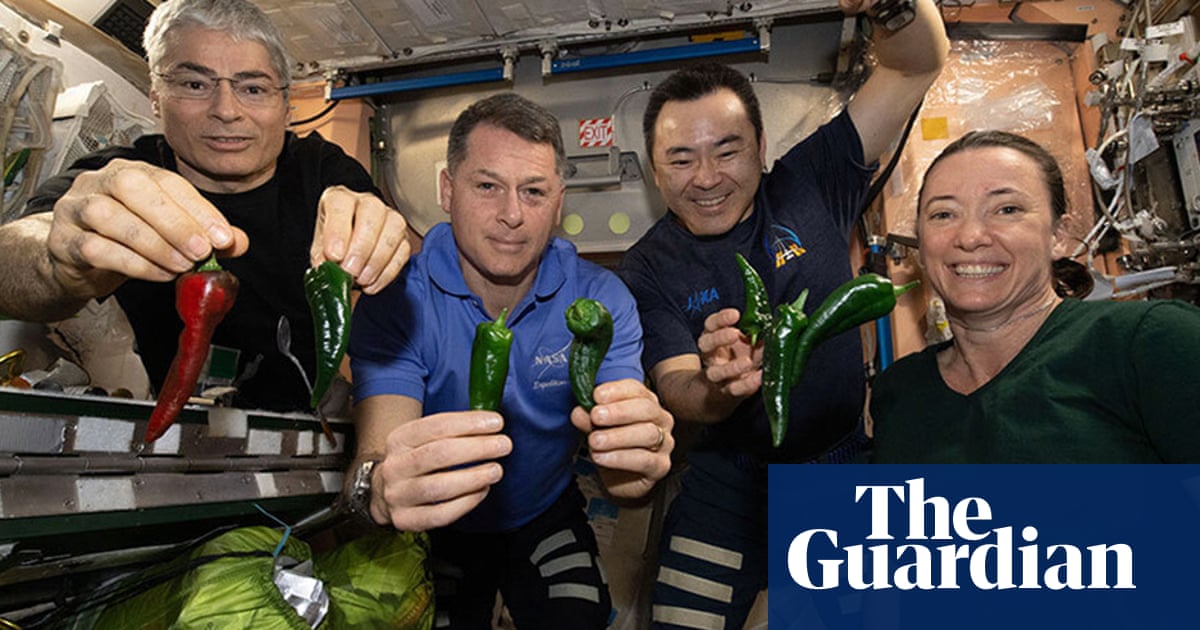 SpaceX toilet leak forces astronauts to use diapers on trip back to Earth