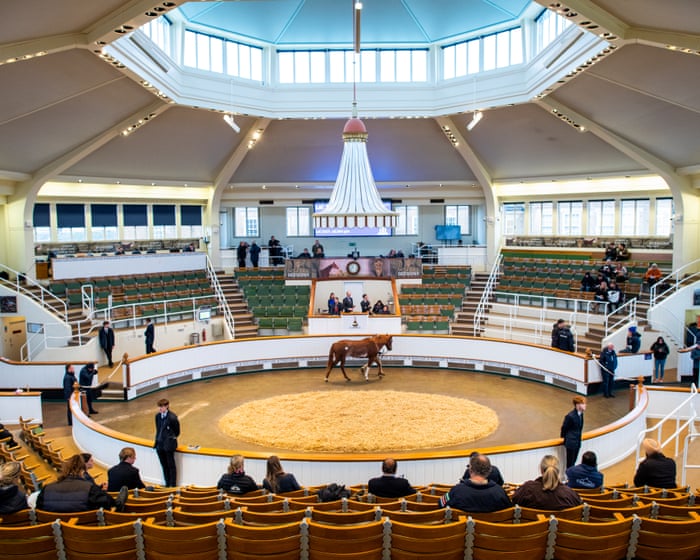 Big-name racing owners set to splash the cash at Tattersalls auction