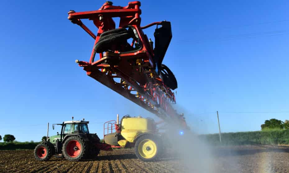 A French farmer sprays glyphosate herbicide produced by US agrochemical giant Monsanto on a field of corn