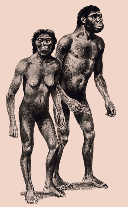 오스트랄로피테쿠스는 약 400만 년 전에 나타났으며, 침팬지 정도의 크기의 뇌를 가지고 있었습니다.