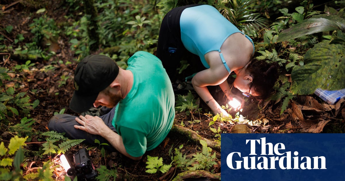 За това съдържание петък 5 януари 2024 г 02 00 ESTВ