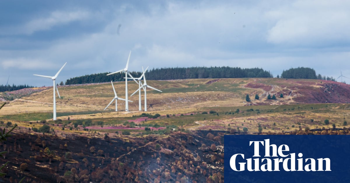 Country diary: South Wales’s summer of fires will linger long in the memory | Eben Muse