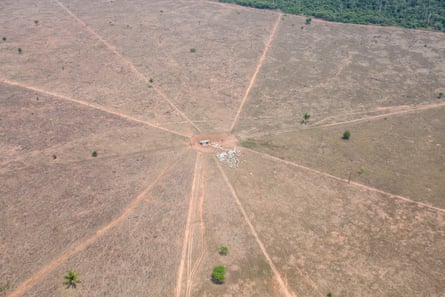 A cattle farm on indigenous land is seen from the air.