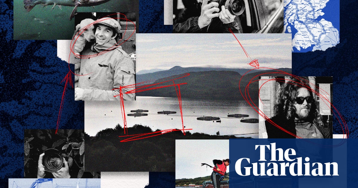 Revealed: spies for hire used Big Brother' tactics on salmon farm activists