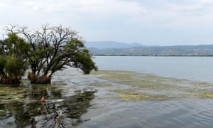One of the lakes mentioned in study Photo taken in July 2015 shows Erhai Lake in Dali, in southwest China’s Yunnan Province. Yunnan plans to spend 26.4bn yuan (US$4.1bn) to tackle pollution in the Erhai Lake, which saw blooms of blue green algae in 1996 and 2003.