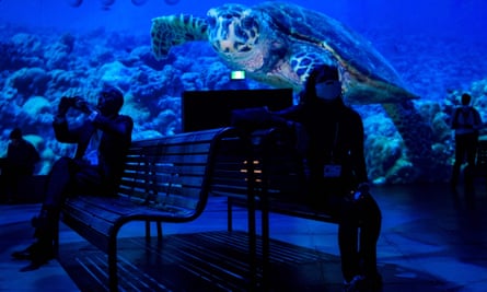 Une expérience vidéo immersive animée par la National Geographic Society lors de la conférence Cop15 des Nations Unies sur la biodiversité à Montréal.
