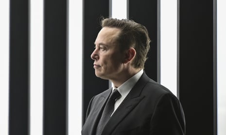 Elon Musk in profile.