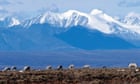 US judge throws out Trump-era approval for giant Alaska oil project