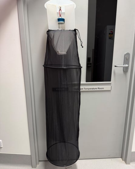 A bug lantern hung on a door