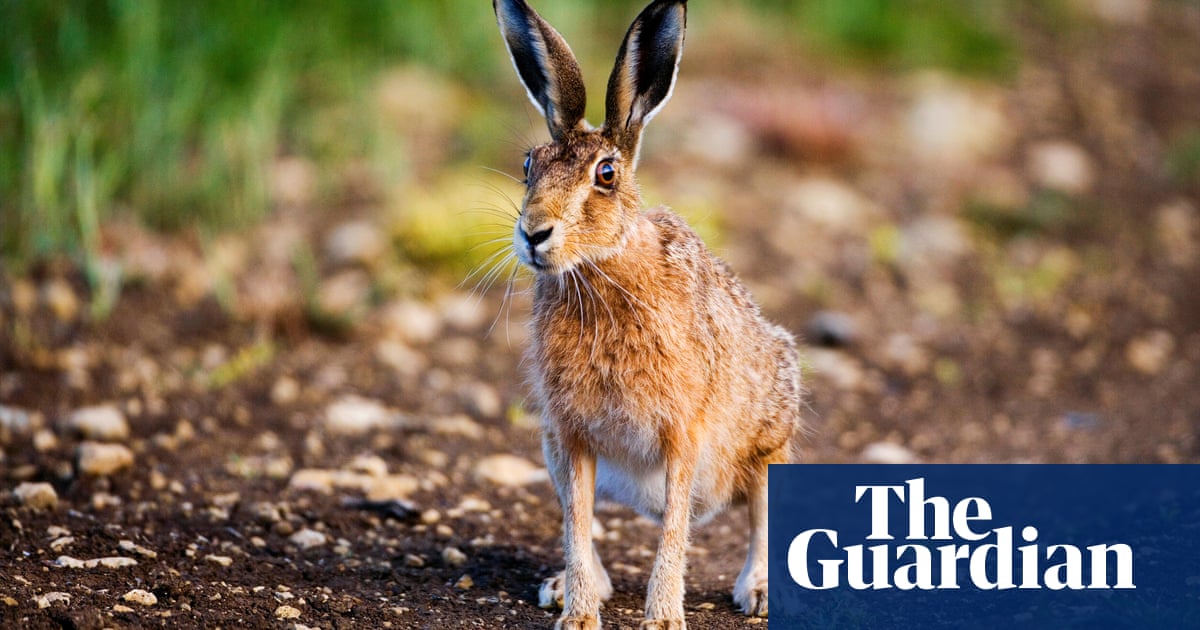 6144.jpg?width=1200&height=630&quality=8