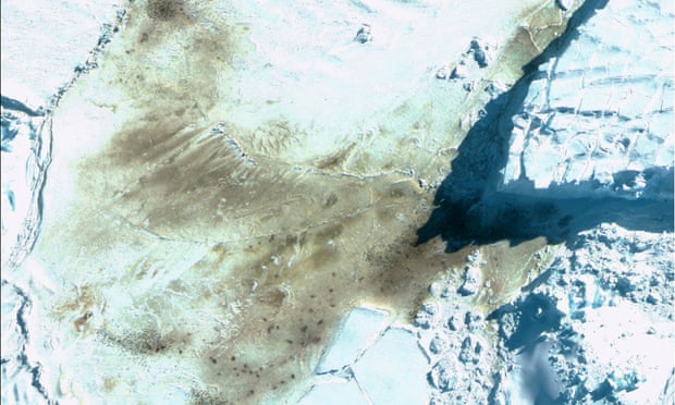 Scientists identified the penguin colonies via satellite images, which showed guano patches left on the ice.