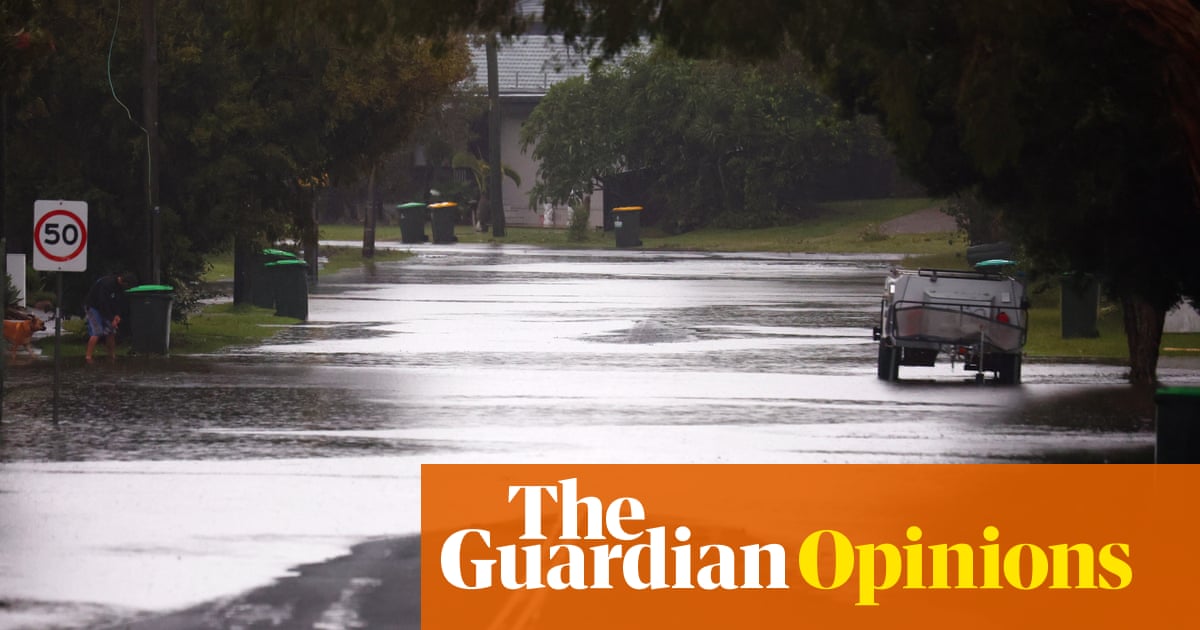In the middle of cyclone preparation I found a baby bird – one tiny, wild life amid the wind and rain | Jessie Cole In the middle of cyclone preparation I found a baby bird – one tiny, wild life amid the wind and rain | Jessie Cole