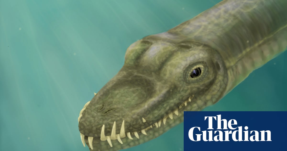 Scientists follow the nose to solve mystery of long-necked reptile