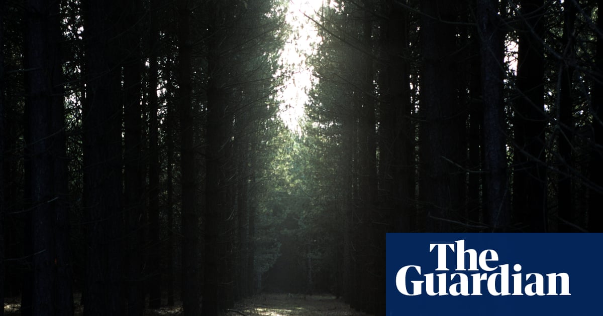 The Rendlesham Forest mystery: It's the perfect storm of a UFO case'