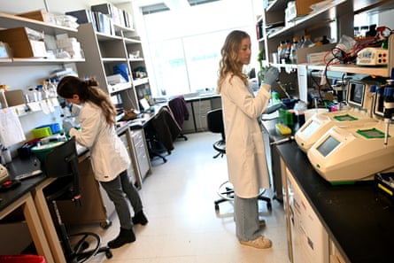 Students do research work in a lab