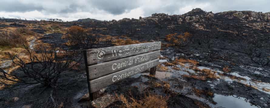 The wooden signpost welcoming bushwalkers to the central plateau world heritage area
