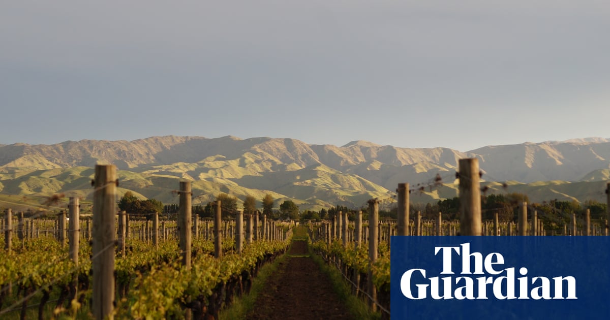 Why we shouldn't turn up our noses at New Zealand sauvignon blanc