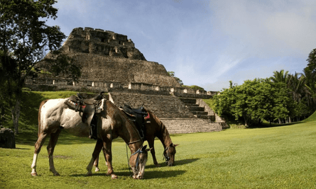 The Unicorn Trails Belize Horseriding trip