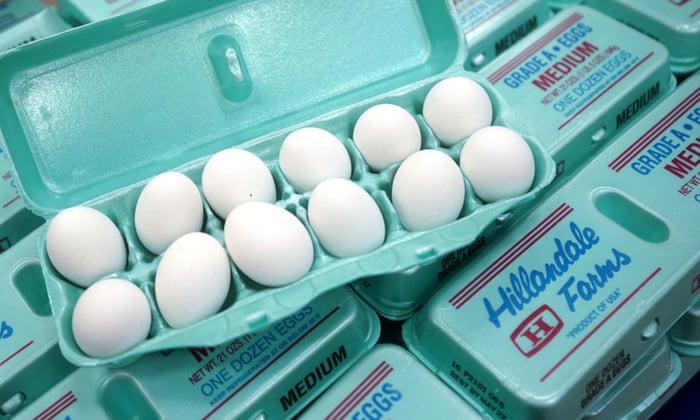 $18 A Dozen: How Did America'S Eggs Get Absurdly Expensive? | Us News | The  Guardian