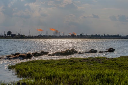 Fires from oilfields burn as water buffaloes swim in the lake nearby