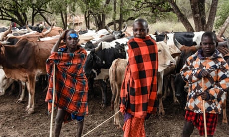 Niños masai en Handeni, Tanzania, julio de 2022, después de que Tanzania comenzara a reubicarlos del área de conservación de Ngorongoro en una medida que los activistas de derechos humanos describieron como desalojos ilegales.