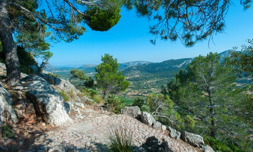 The countryside around Pollensa, Mallorca, the setting of Shappi Khorsandi’s holiday last month.